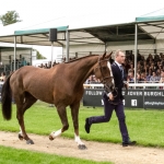 Tom Rowland & Possible Mission at Burghley