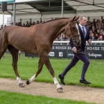 Tom Rowland & Possible Mission at Burghley