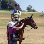 Tom Rowland & Quintilius at Chepstow