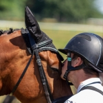 Tom Rowland & Snap To It at Chepstow