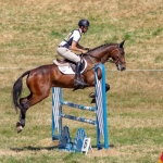 Tom Rowland & Quintilius at Chepstow