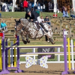 Tom Rowland & Colby at Hartpury