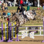 Tom Rowland & Colby at Hartpury