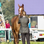 Tom Rowland & Possible Mission at Burghley