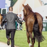 Tom Rowland & Possible Mission at Burghley