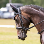 Tom & Effie at Tweseldown UA