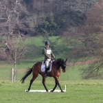 Tom and Quntilius at Weston Park