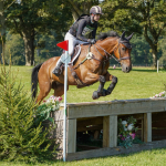 KND Steel Pulse at  Cornbury 2023