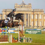 Honeybrook Extra Special at  Blenheim 2023