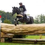 Honeybrook Extra Special at  Blenheim 2023