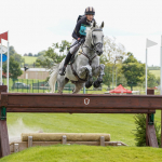 Dreamliner at  Hartpury 2023