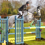 Dreamliner at Poplar Park 2024