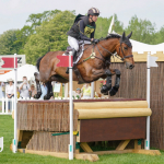 KND Steel Pulse at Badminton 2024