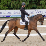 Quintilius at Bicton 2024