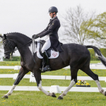 Honeybrook Extra Special at Burnham Market 2024