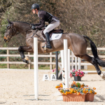 Calcourt Diamond at Moreton 2025