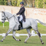 Dreamliner at Thoresby 2025