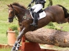 Tom Rowland and Hennessy Cormac, Gatcombe Festival of British Eventing, Aug 2014