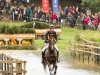 Hennessy Cormac Blenheim CCI*** 2013