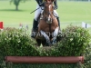 Hennessy Cormac Bramham CCI*** Under 25 Championships 2013