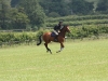 Tom Rowland on the gallops