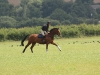 Tom Rowland on the gallops