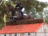 Tom Rowland & Hennessy Cormac, Pau CCI4* 2015: Photo Trevor Holt