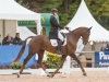 Tom Rowland & Hennessy Cormac, Pau CCI4* 2015: Photo Trevor Holt