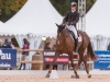 Tom Rowland & Hennessy Cormac, Pau CCI4* 2015: Photo Trevor Holt