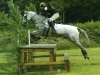 Gandalf - Stockland Lovell Novice 2009