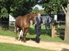 Tom & Hennessy Cormac, 5 years on at Blenheim 3 star
