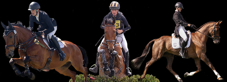 Tom Rowland Eventing