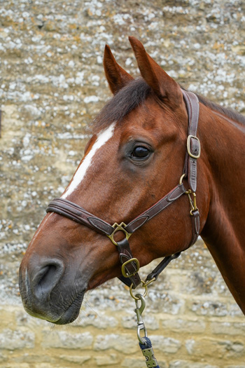 You’ll Never Walk Alone